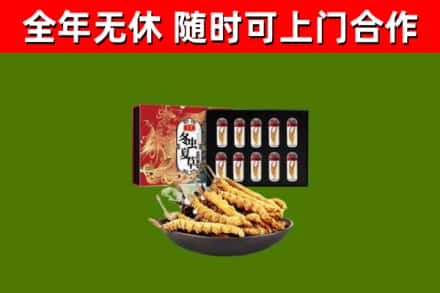 鹿泉回收冬虫夏草价格